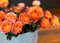 2026, Rose Ceremony