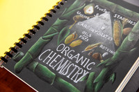 2024, Students' Work